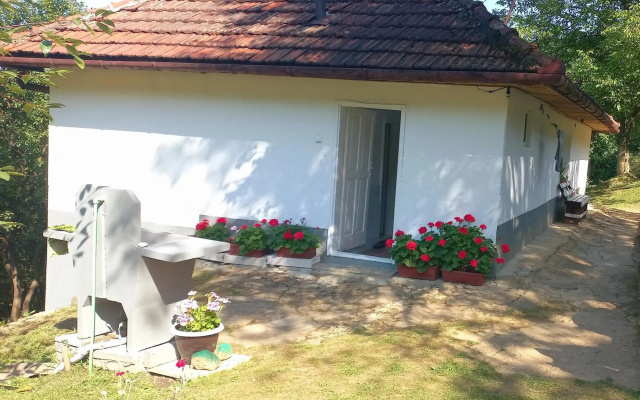 Family house