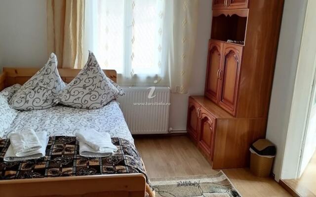 Agrouturistic House in Manastirea Humorului