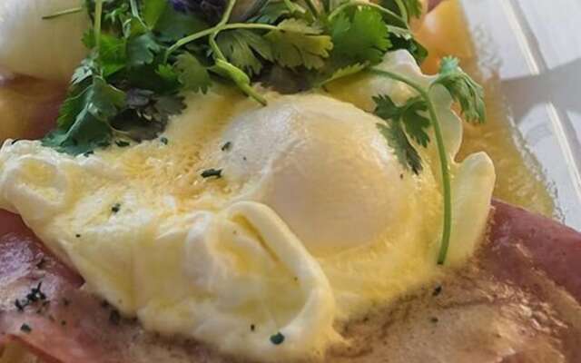 Boulders Beach Hotel, Cafe and Curio