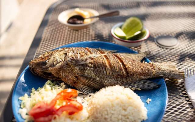 Hotel Bungalows Marbella Costa Esmeralda