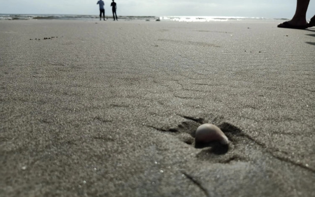 Desiran @ Timurbay - seafront studio apartment with WiFi