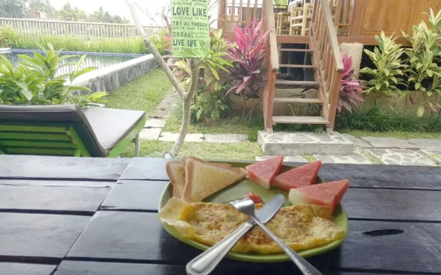 Green Paddy Hostel