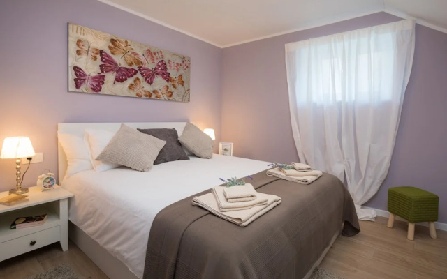Apartments Zlatin Dvor