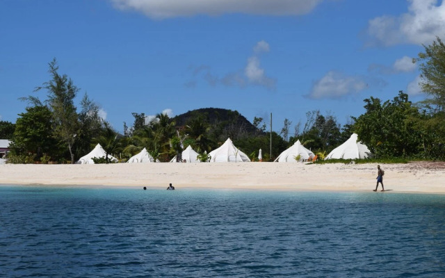 Wild Lotus Camp