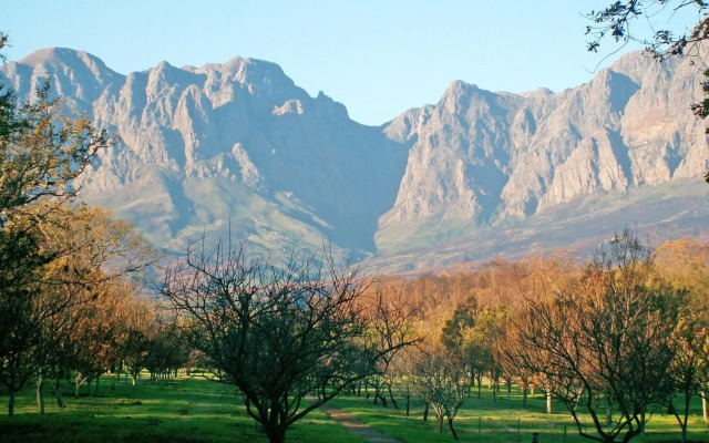 Somerset Sights Bed and Breakfast