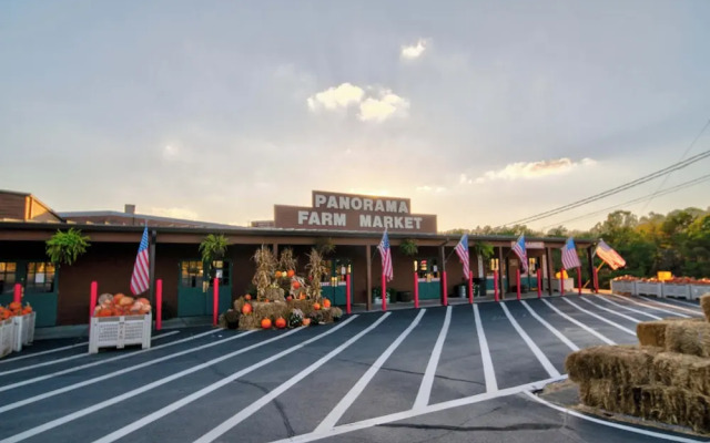 Sunset View 3 BDR Close to Downtown!