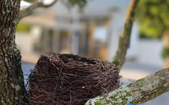 Guangzhou Conghua Bishui Hot Spring • One Mu Liyuan Homestay