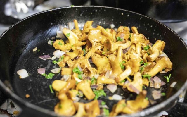 SL'otel im Parforcehaus