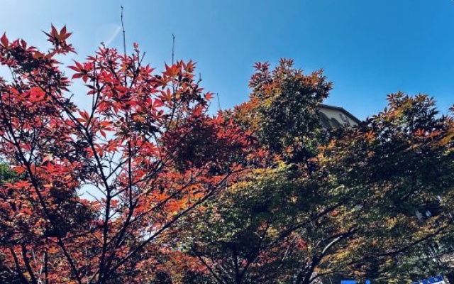 Chenzhou Dongjiang Lake · Shanshuishe Art Garden Villa (Dongjiang Lake Scenic Area) – Exterior – Chenzhou