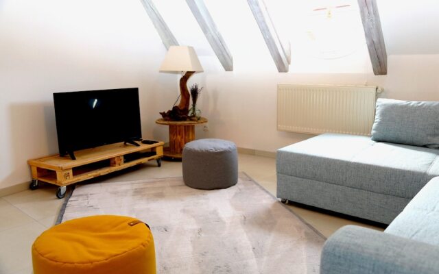 Grand Duplex Ribeauvillé - LES HYDRANGEAS