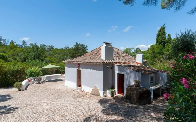 Pine Tree House in Azeit o