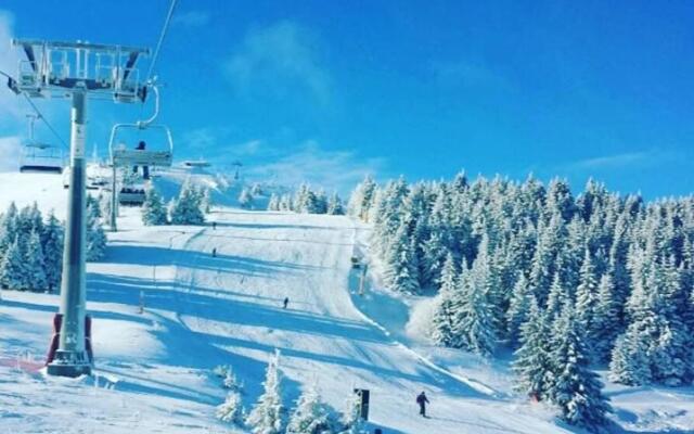 Apartman D16 Milmari Kopaonik