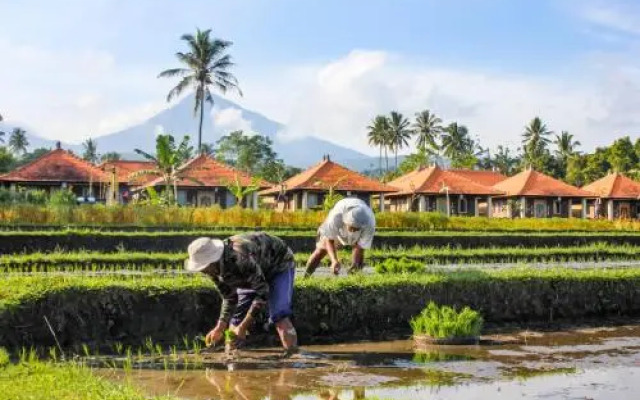 Sri Lestari Banyuatis