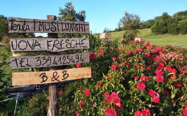 Tenuta I Musi Lunghi