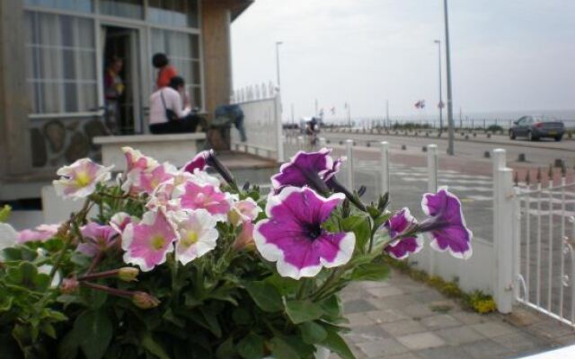 Beach Location Studio