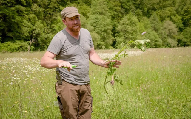 Nengshof - Haus Wildrose