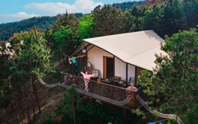 Squirrel Kingdom Forest Homestay