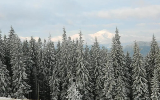 Usadba Okhotnichiy Dvor