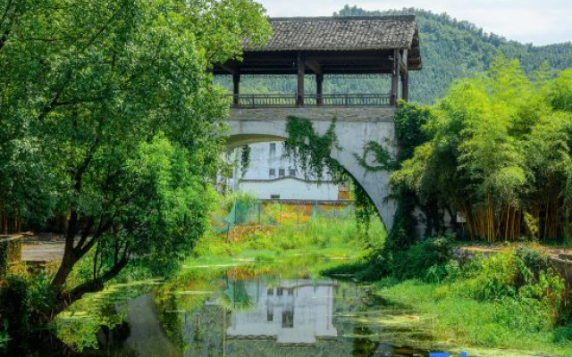 Wuyuan Songfengcui Scenic Spot Hundred-Mu Manor Boutique Stay