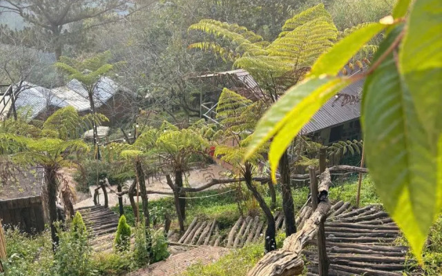 Nắng homestay