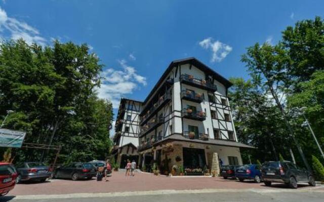 Hotel Posada Vidraru
