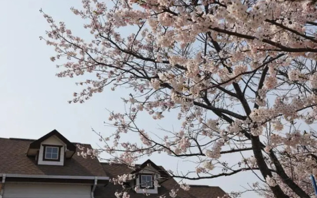 Badahyangkiae aegyun pension