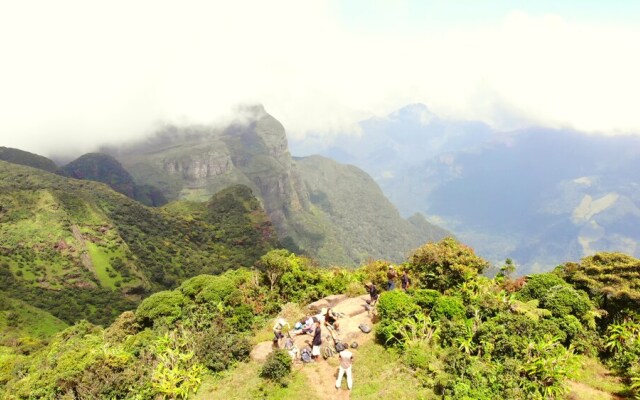 Wild Glamping Knuckles