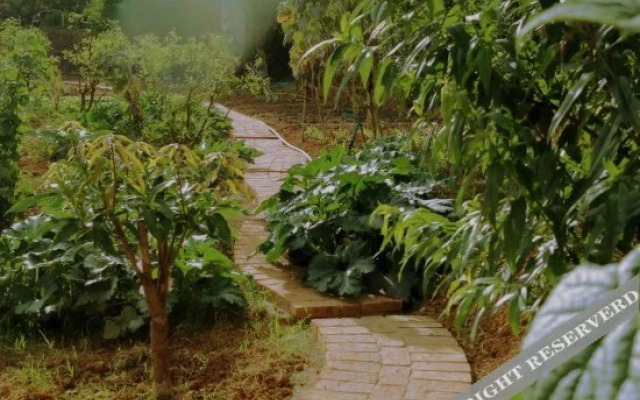 Dongfengyun Niuduoluo Music Farmhouse