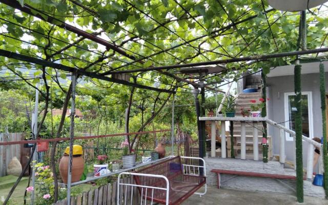 Chelo Guesthouse