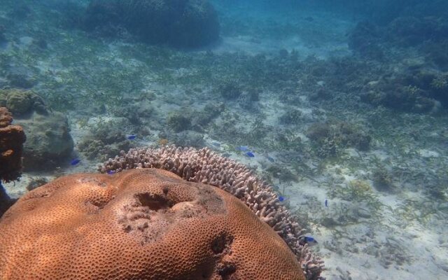 Seaside KLATCH -Villa & Sauna-