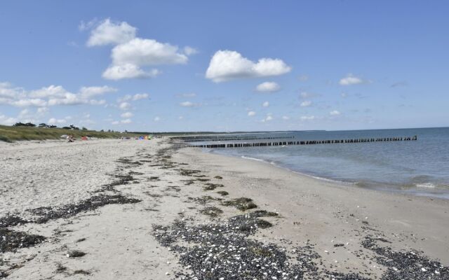 Modern Holiday Home in Ribnitz-damgarten Amidst Forest