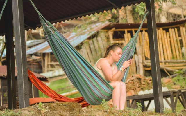 Coffee Tree Boutique Hostel