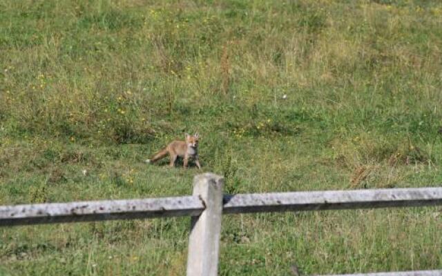 Chambres d'hôtes Les Machetières