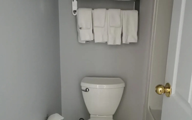 Comfort Inn & Suites University