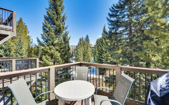 Walk to Town & Slopes: Riverfront Breckenridge Gem