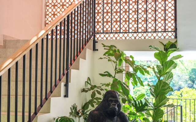 Trip Monkey del Río