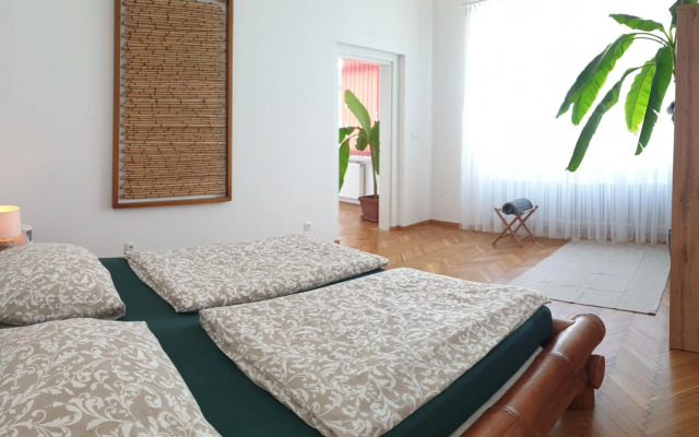 Sunny and spacious apartment near city centre