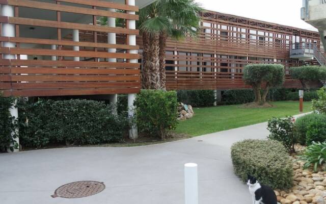 Golf Clair - 11