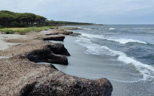 Rotonda Sul Mare