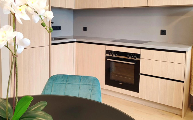 Rooftop Apartment Vienna City Center - free parking!