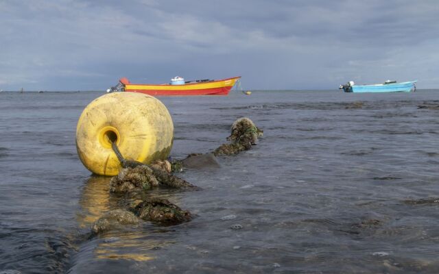 Villas Cabuya Beach & Forest