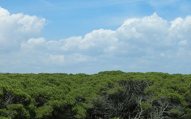 Residence Hotel Margherita