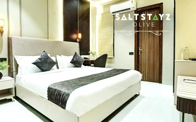Saltstayz Select - Pitampura