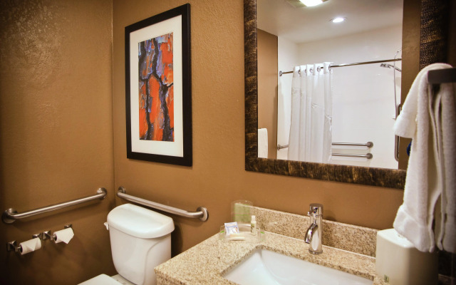 Holiday Inn Hotel & Suites LA CROSSE