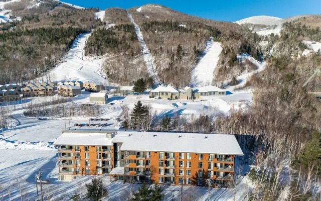 Les Caches de la Grande Pointe