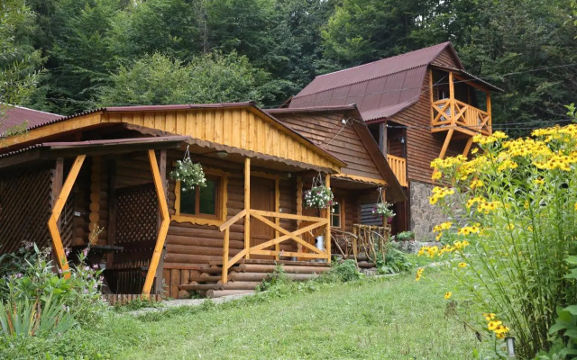 Zarinok