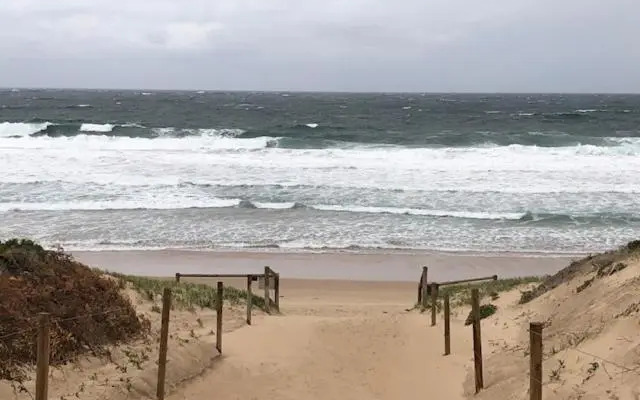 Beachfront Living Cronulla