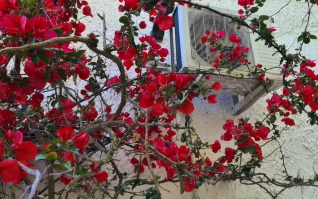 Villa Cino