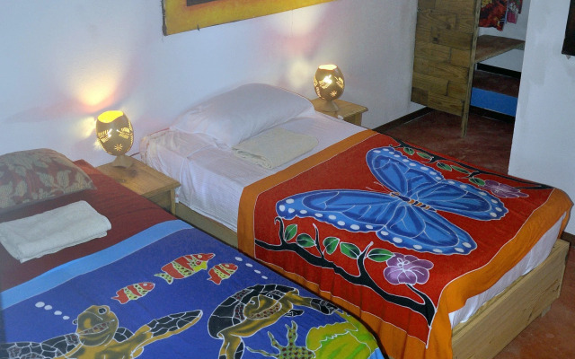 Hostel La Ballena Backpacker