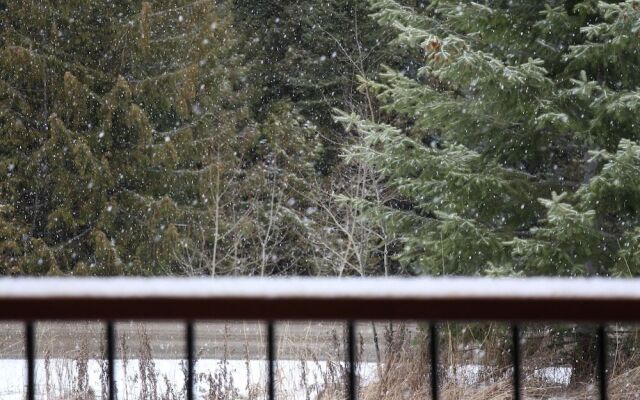 Timberline Lodges by Fernie Lodging Company